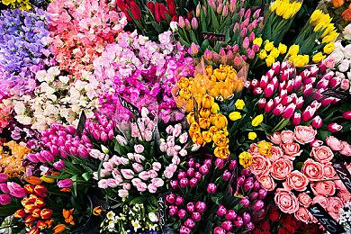 《盗贼遗产2》在线玩家突破2.2万 新补丁即将发布